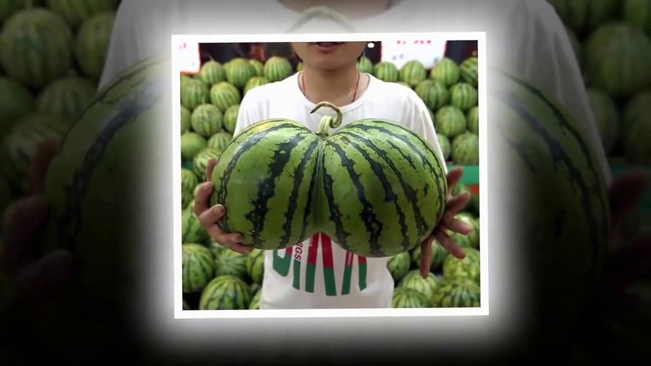 strange watermelon unique watermelon