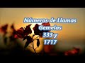 Números de Llamas Gemelas 333 y 1717