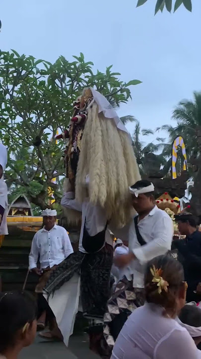 #sugraratu #piodalan #rahayu #balipunyacerita #indonesianculture #suksma #😇😇😇