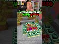 ESPERIMENTI DI MINECRAFT - VERO O FALSO ?