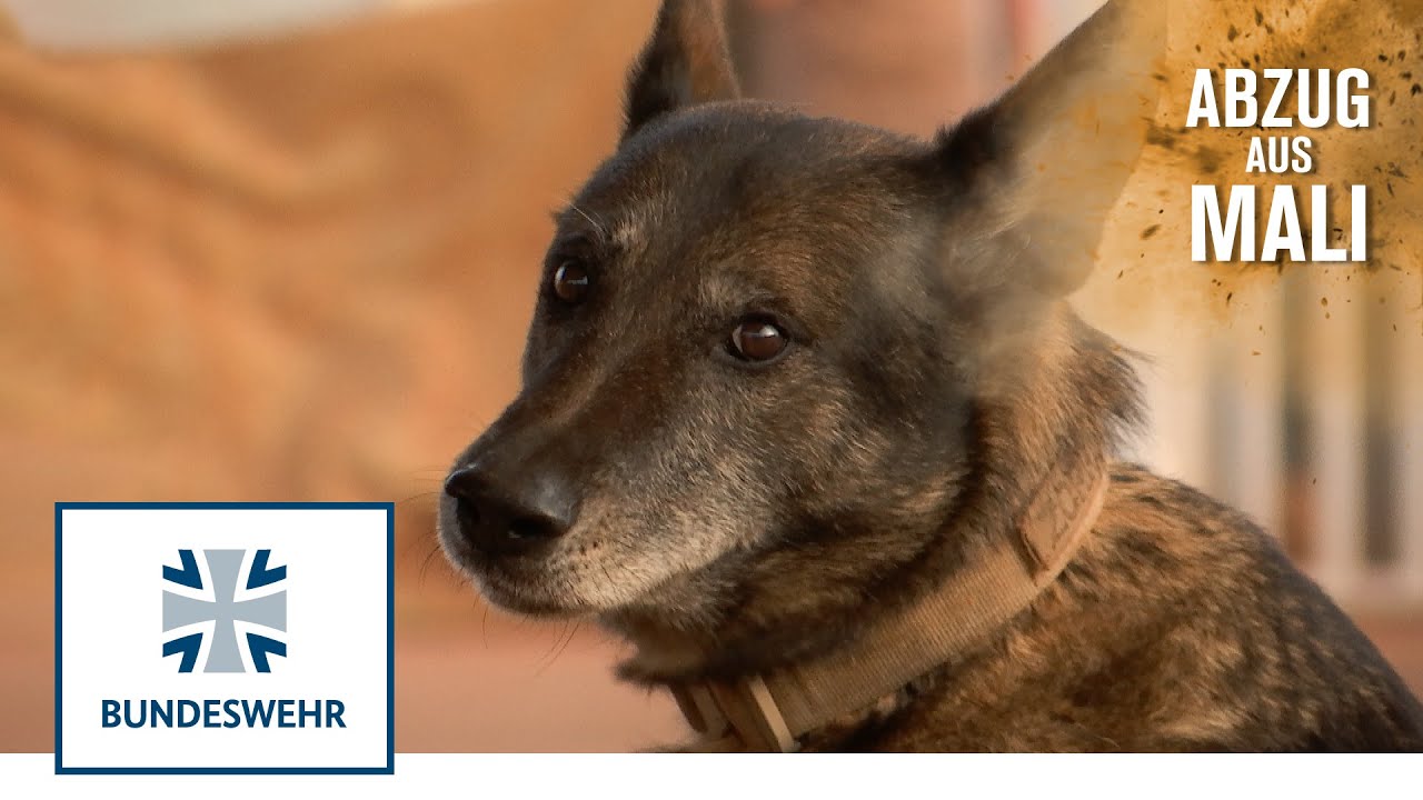 Abzug aus Mali: Feldjäger I Bundeswehr