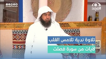 تلاوة ندية لآيات من سورة فصلت.  القارئ: د. محمد الطريف