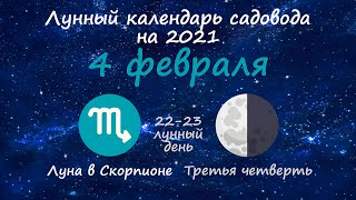 Календарь огородника на 4 февраля 2021 года. Лунный посевной календарь садовода | Флористикс Инфо