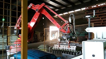 brucesortex@foxmail.com ---palletizing robot for feed bags,double line