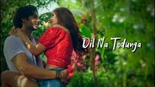 Dil Na Todunga (Lyrics) | Abhi Dutt | Rashmi Virag