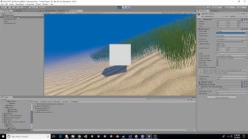 Underwater Scene Start