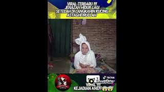 viral di tiktok, mayat hidup kembali setelah dilangkahi kucing