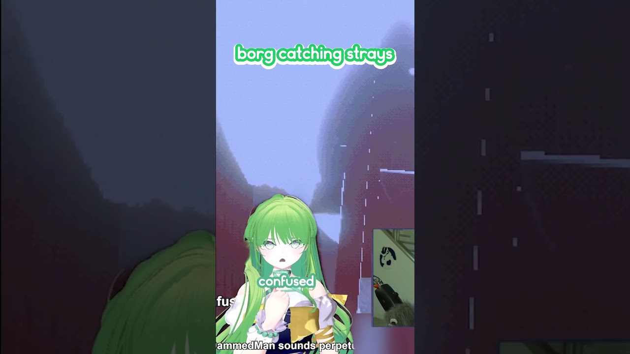 borg catching strays
