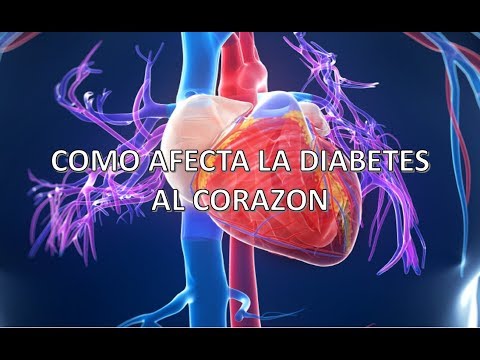Vídeo: Diabetes Y Enfermedad Cardíaca: ¿cuál Es La Relación?