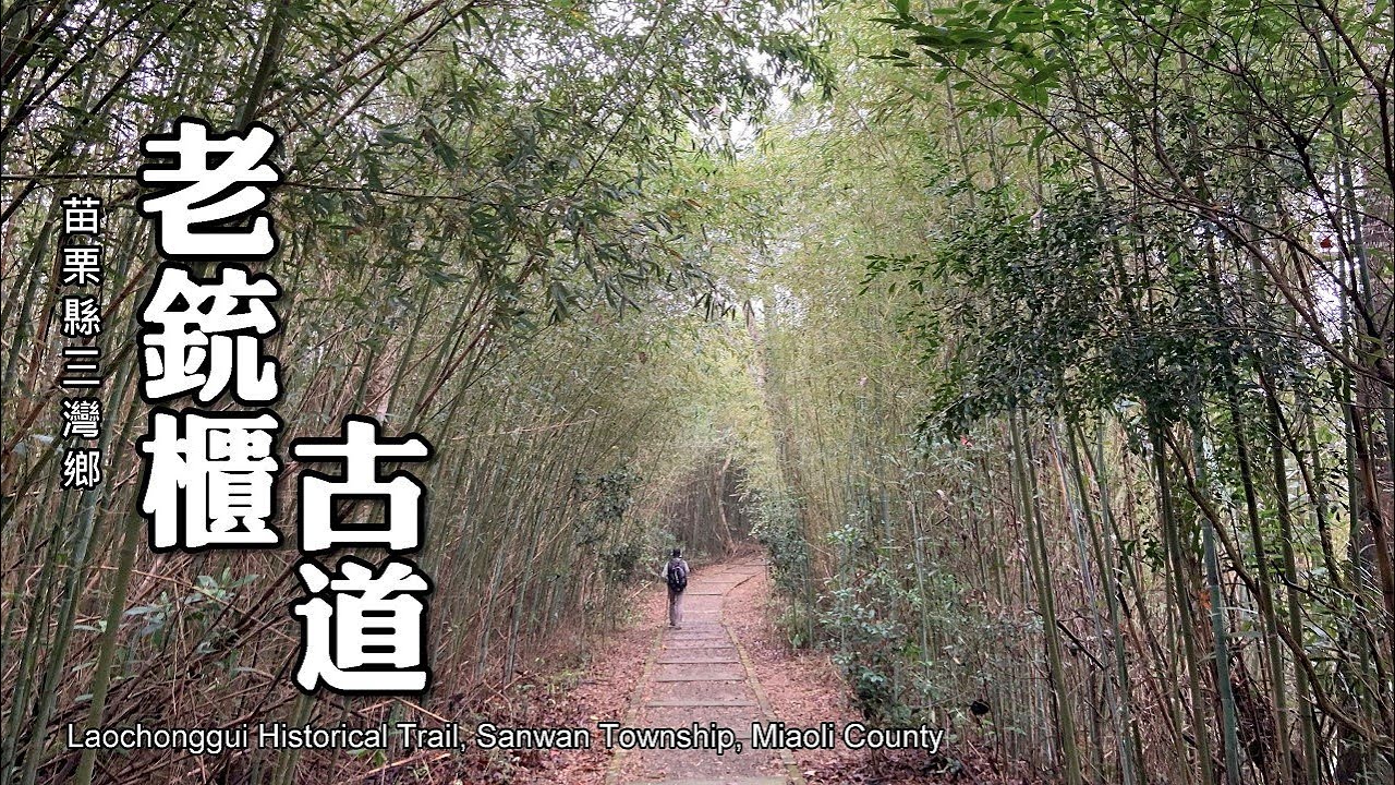 驚喜！苗栗三灣．老銃櫃古道變五星級步道了！浪漫台3線，幸福百分百！