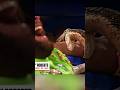 The most terrifying snake attack in WWE history 😨 #jakethesnake #randysavage #wwevideo #wweshorts