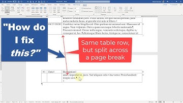 My 7 Favorite Microsoft Word Table Tricks