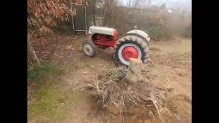 Big Tree Fall Ford 8N Tractor Pull