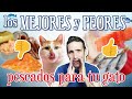 TOP 3 🏆 de los mejores PESCADOS 🐟 para GATOS 😽 | Y cuáles NO DEBES DARLE nunca 🙅‍♂️