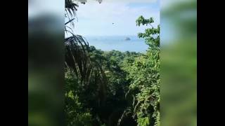Tal au Costa Rica (Vidéo Instagram)