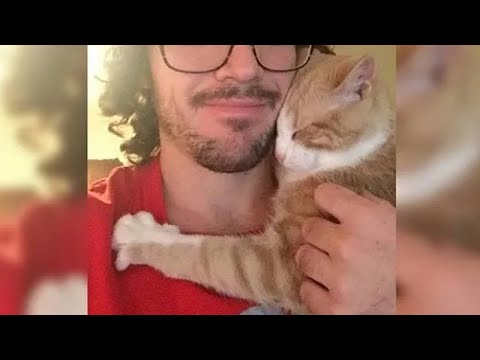 Мужчина взял котенка из приюта. вот что сделал кот, когда попал в дом нового хозяина