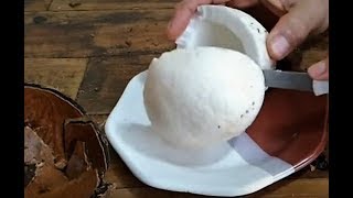 Dried coconut: peel and peel fruit easily