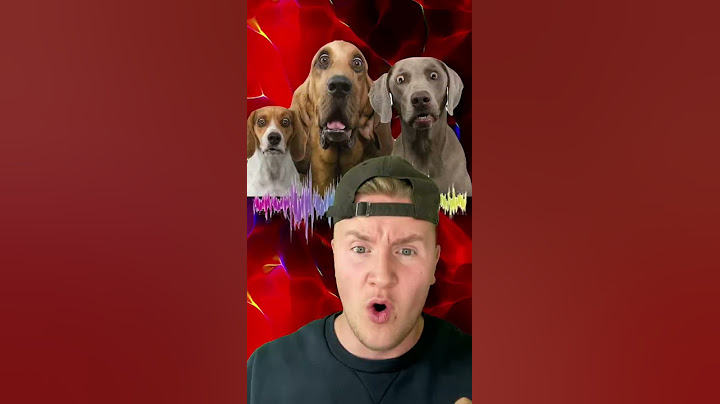 ONLY DOGS CAN HEAR THIS SOUND! #shorts
