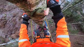 Tree climbing Spurs Training