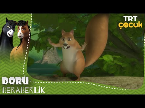 Doru | Beraberlik