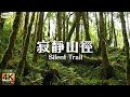 森林療癒系2  太平山 翠峰湖環山步道 台灣最寂靜的山徑  適合一個人獨走的身心療癒步道 聆聽大自然與心底最細微的聲音  附現場收音片段 放鬆抒情鋼琴曲 Relaxing Piano Music