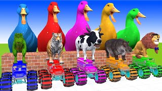 5 Giant Duck, Monkey, Piglet, chicken, dog, lion, cow, Sheep, Transfiguration funny animal 2023