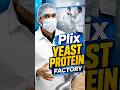 I visited Plix Yeast Protein Factory!