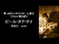 ウクレレ弾き語り ビール オア ダイ 怒髪天 Cover 酔っぱらいオヤジの一人遊び ウクレレ弾き語り ビール オア ダイ 怒髪天 Cover 酔っぱらいオヤジの一人遊び
