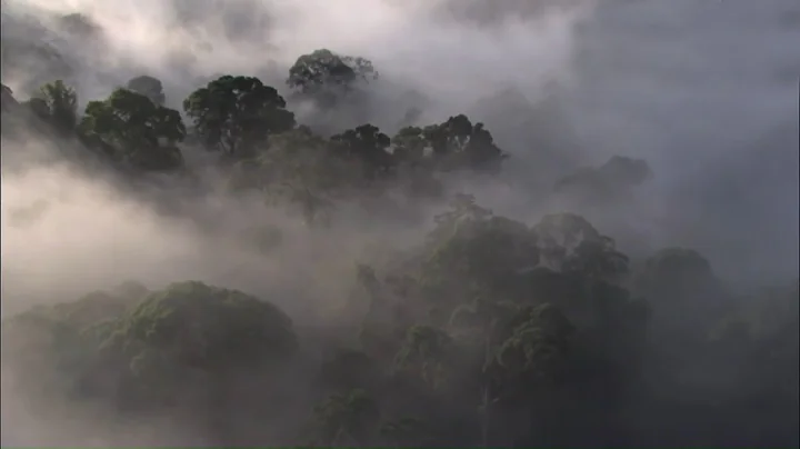 meditations (excerpt)