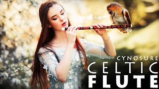 Relaxing Music / Cynosure - Celtic Flute