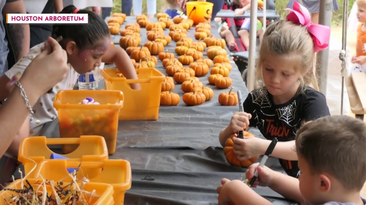 The Houston Arboretum’s annual ‘Arbooretum’ fall festival returns this weekend
