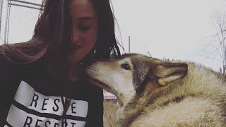 Behind The Scenes: Wolf Selfies by Sarah and the Wolves 62,534 views 6 years ago 1 minute, 20 seconds