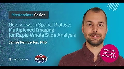 New Views in Spatial Biology  Multiplexed Imaging for Rapid Whole Slide Analysis