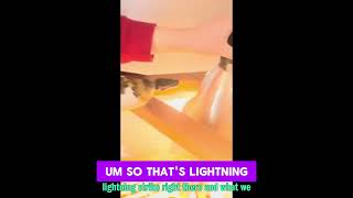 Ultimate Guide: Best Lighting for Ball Python Tanks #ReptileCare #BallPythonTips