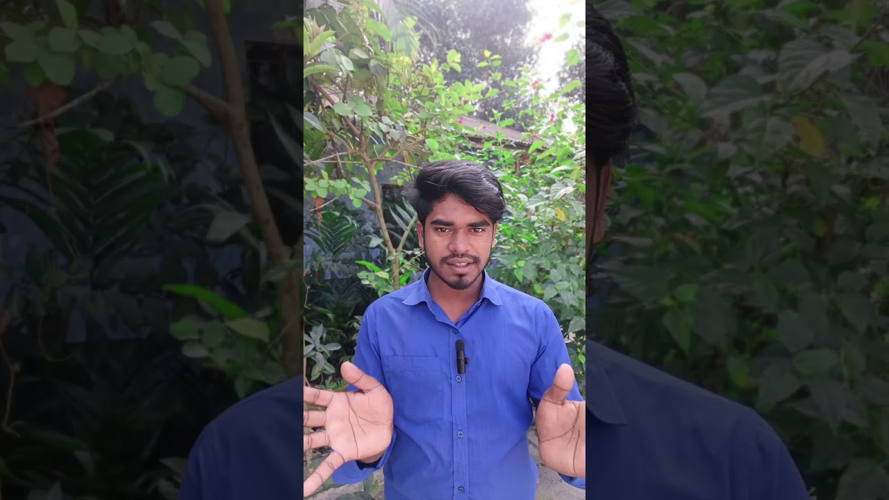 তিনটি কাজ করলে mXN company. আপনার জীবন বদলে দিবে 