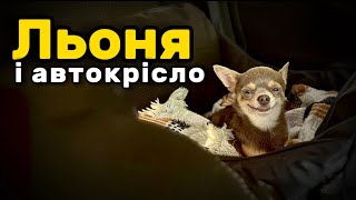 У Льончика розпаковка