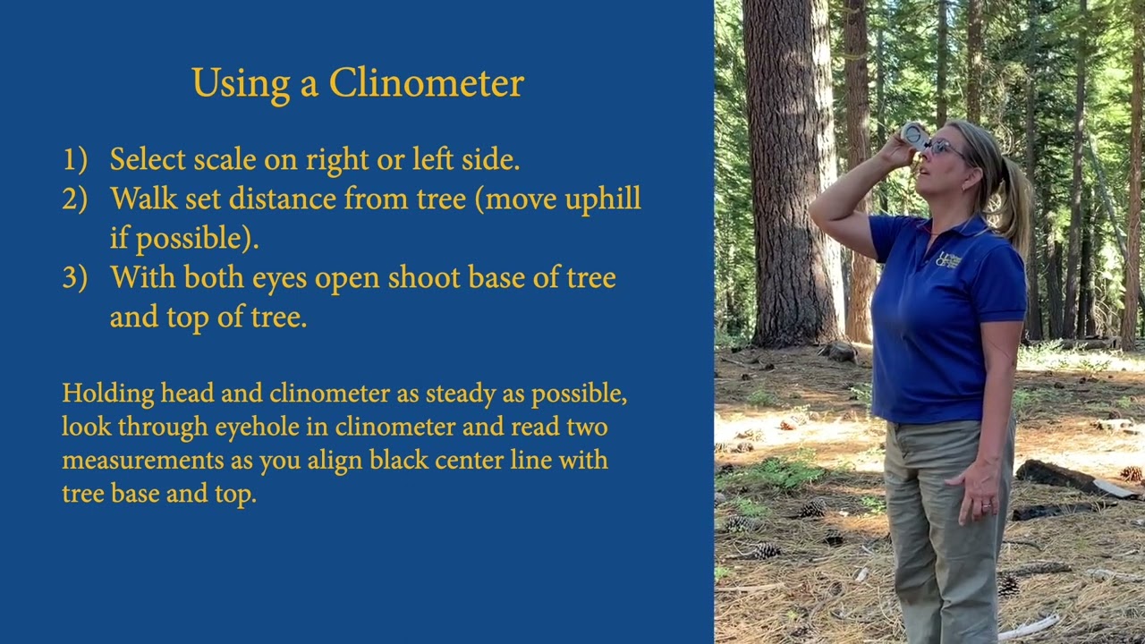 Forest Inventory Part 2: Using a Clinometer to Measure Tree Height