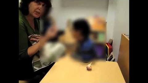 Module 33: Dynamic Assessment: Fast Mapping Example 3