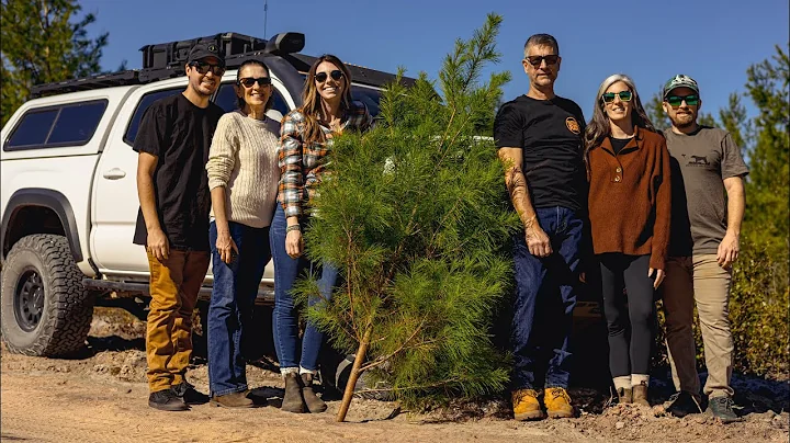 Christmas Tree Hunting in Ocala National Forest