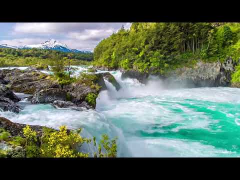 سورة الأنعام للشيخ سعد الغامدي فيديو لمناظر طبيعية خلابة بتقنية وجودة عالية جدا