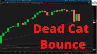 Stock Market: What Is A Dead Cat Bounce