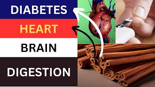 Unleashing the Power: 13 Spectacular Benefits of Ceylon Cinnamon Revealed