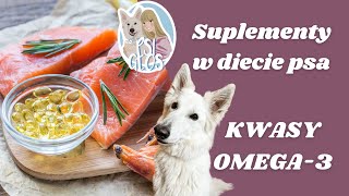 KWASY OMEGA3 w diecie psa  Suplementy dla psa karmionego karmą komercyjną i BARF'em