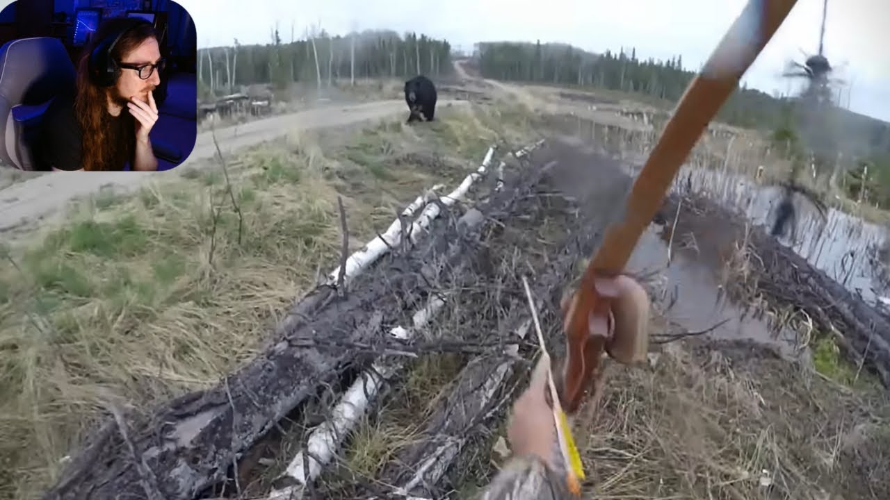 Я имею в виду... это чертовски страшно... - 5 самых тревожных случаев охоты, запечатленных на камеру