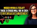 They Laughed At Me When I Said Tesla Will 100x, Now Mark My Words These 3 Stocks Will 10x In 2024