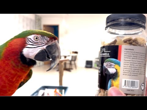 Sorry to have worried you. Kiwi is doing fine 🥝🍅🍋🥚