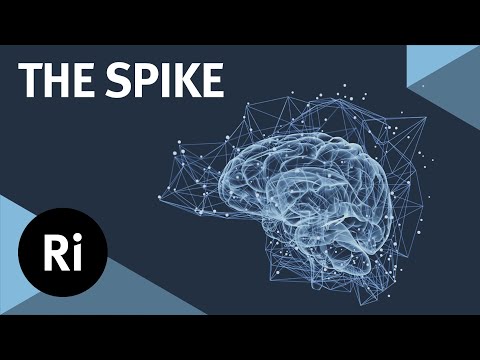 The Spike: How Your Brain Uses Electrical Impulses To Communicate - With Mark Humphries