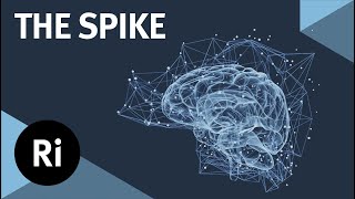 The Spike: How Your Brain Uses Electrical Impulses to Communicate - with Mark Humphries