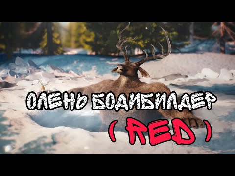 Олень Бодибилдер (Deer Bodybuilder Red) ПОЛНАЯ ВЕРСИЯ (Мотивация)