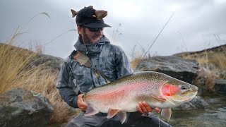 Fly Fishing Mega Trout on Worlds Best Trophy Trout River! by Trout Hunting NZ 116,163 views 6 months ago 13 minutes, 38 seconds